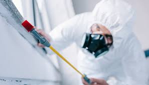 Best Pest Exclusion Services  in Reamstown, PA